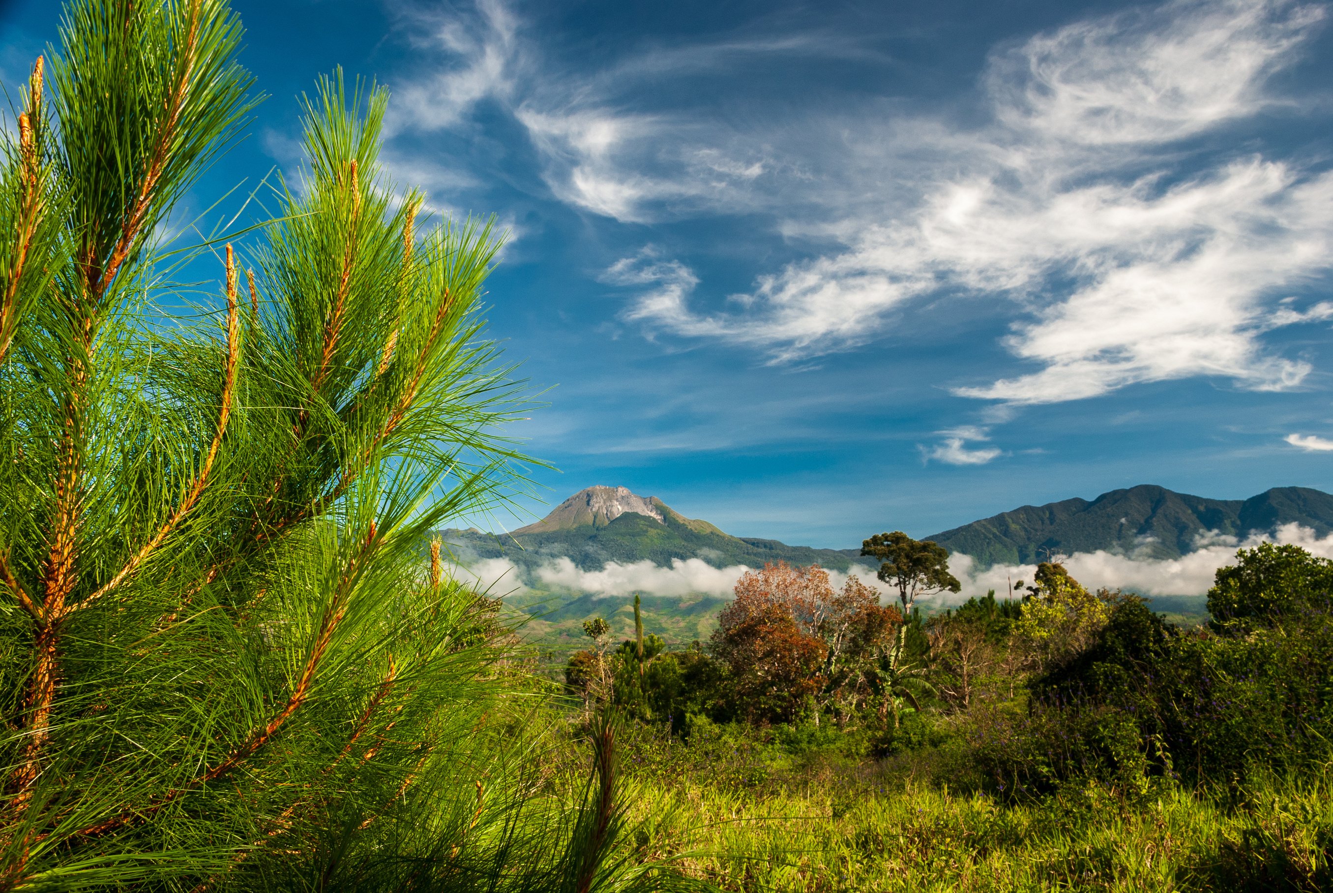 Mount Apo Landscape