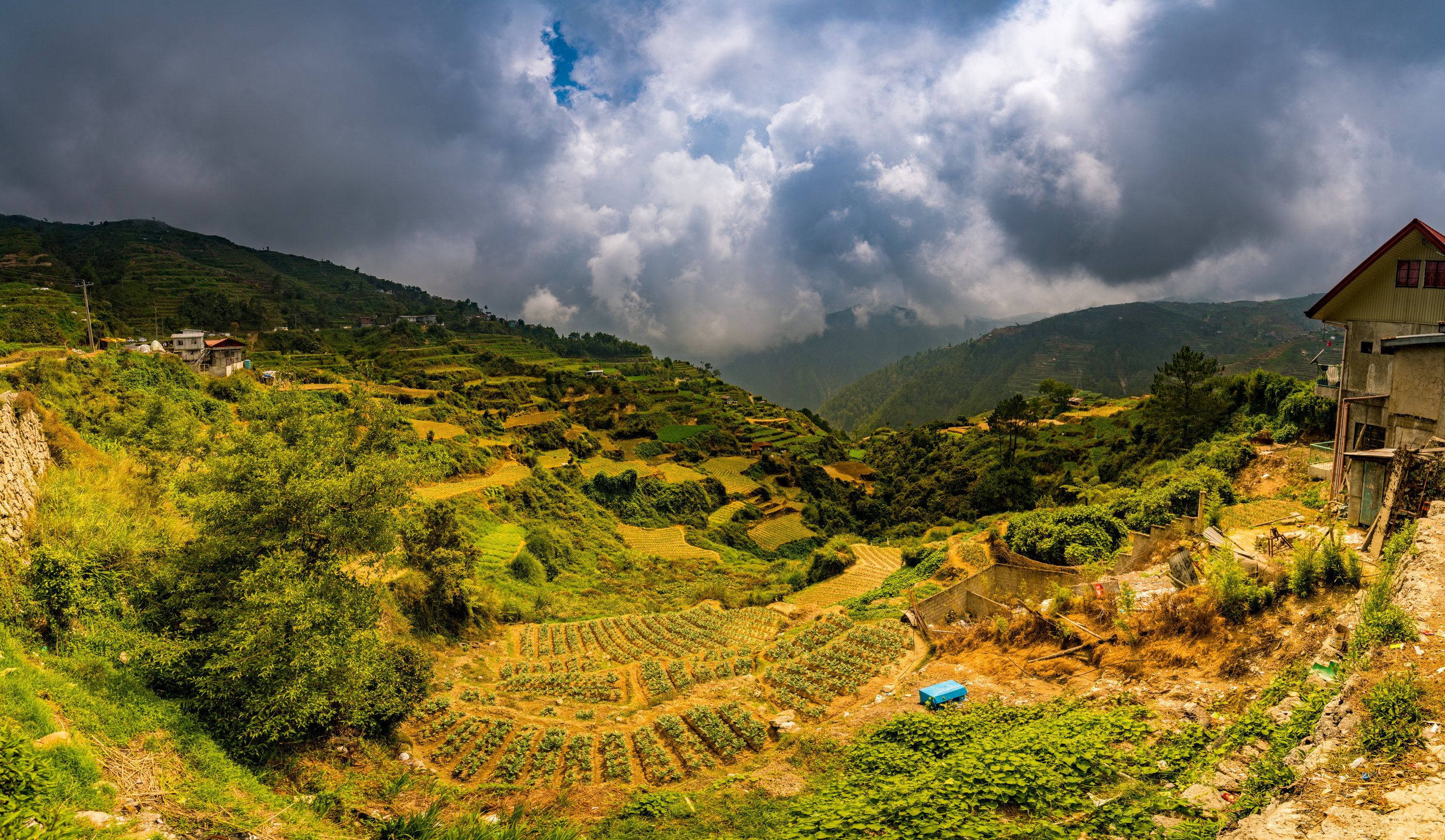 Rice Fields of Sagada, Philippines